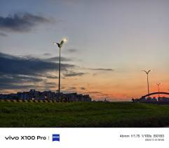 vivo X100 Pro