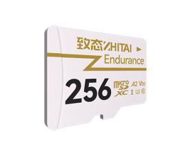 ̬Endurance TF 256GBͼ2