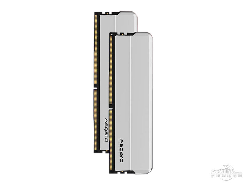 阿斯加特海拉 DDR5 5600 48GB(24GB×2) 主图