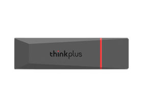 thinkplus (256GB)