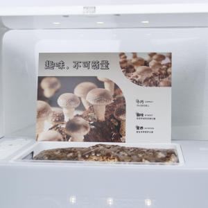实现家中菌菇自由，超级菇菇菌菇生态箱，享受自给自足的乐趣