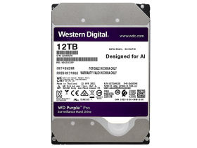 pro 12TB 7200ת 256MB SATAӲ(WD121EJRP)