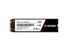 ƱM610T 256GB M.2 SSD