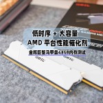 AMD 平台的性能催化剂丨金邦巨蟹48GB内存测评