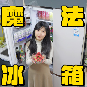 柔韧并济，内外兼修！leader木兰冰箱508，就是冰箱界的花木兰！