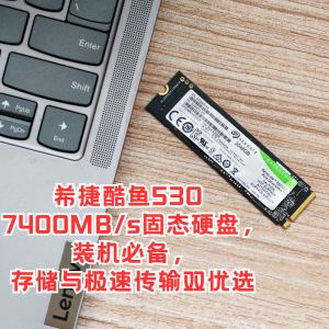 希捷酷鱼530 7400MB/s固态硬盘，装机必备，存储与极速传输双优选