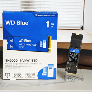 618装机性价比之选，WD Blue™ SN5000 NVMe SSD实测揭秘！