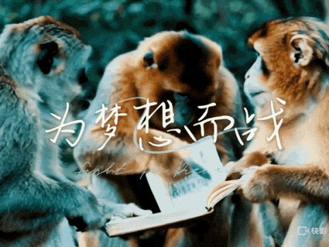 快手可灵，把压力给到了抖音剪映