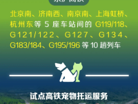 12306里，有多少你不知道的秘密？