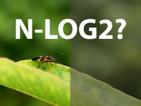 尼康正运用RED技术研发N-log2