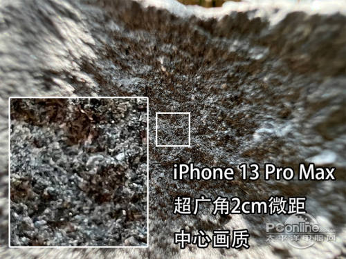 苹果iPhone13 Pro Max超广角2cm微距画质