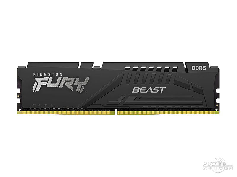 金士顿骇客神条 Beast野兽系列 DDR5 4800 16GB