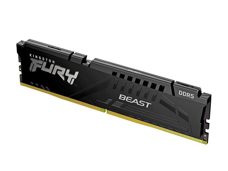 ʿٺ BeastҰϵ DDR5 4800 16GBͼ