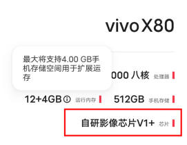 vivo X80