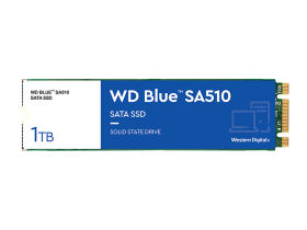 西部数据 WD Blue SA510 1TB SATA M.2 SSD