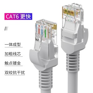友博士 六类非屏蔽网线 高速宽带线 cat6千兆 家用网络连接线 灰色 10米
