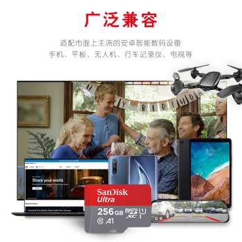 ϣSanDiskڴ濨г¼ǼСͷֻƽSwitchTF洢 256G C10 㷺 ٷ