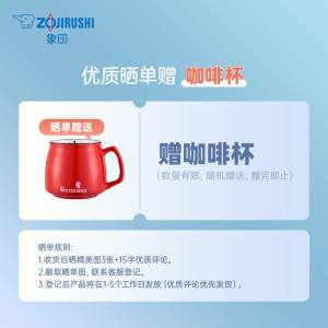 象印（ZO JIRUSHI）电饭煲家用电饭锅厚内胆国内标准3L容量NS-TSH10C（3L 2-6人份）