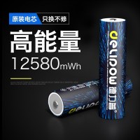 德力普（Delipow）18650锂电池 大容量3.7v充电锂电池适用于强光手电筒/头灯/航模 平头5550mWh【双槽充+2节电池】