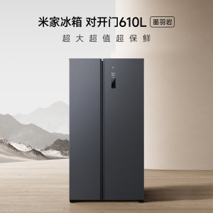 СףMIҲ20%׼610Կ˫Ŵ˪ӳһЧ BCD-610WMSA