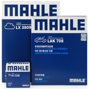 գMAHLEоװյ++(ڱ(16-18)/ε(17-)1.6)