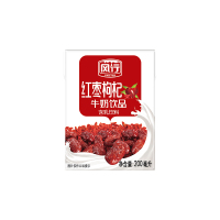 风行牛奶 红枣枸杞牛奶饮品 200ml*12盒整箱牛奶礼盒装 年货过年送礼