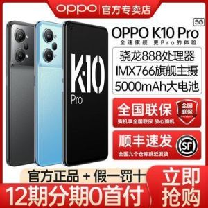 OPPO K10 Pro 骁龙888旗舰5G 80W超级闪充游戏拍照智能手机k10pro