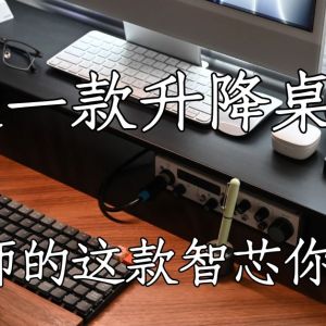 双12选一款升降桌，林老师的这款智芯你喜欢吗？