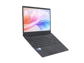 dynabook EX50L-K(i5-1240P/16GB/512GB)