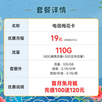 中国电信 电信流量卡5G手机卡低月租电话卡全国通用不限速春晖卡星元上网卡 梅花卡19元月租110G+100分钟