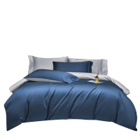 AIDLI 床上四件套100支长绒棉被套被罩双人全棉纯色套件 瑞吉尔蓝 220*240床笠款四件套(1.8米床）