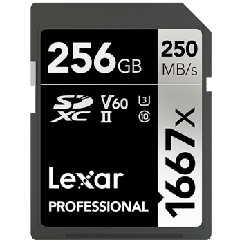 雷克沙（Lexar）256GB SD存储卡 U3 V60 4K数码相机内存卡 读250MB/s 写120MB/s 双排金手指（1667x Pro）