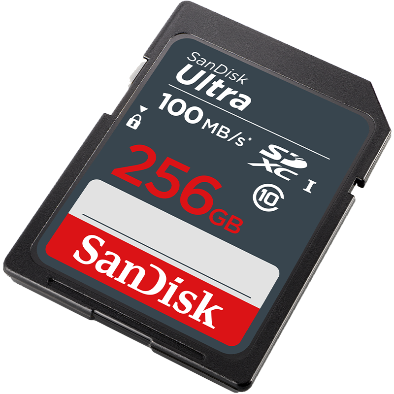 闪迪（SanDisk）256GB SD内存卡 至尊高速版读速100MB/s 数码相机 摄像机存储卡 支持高清视频 