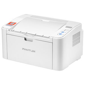 奔图 （PANTUM ）P2206W青春版 黑白激光家用打印机 手机直连无线打印 机身小巧