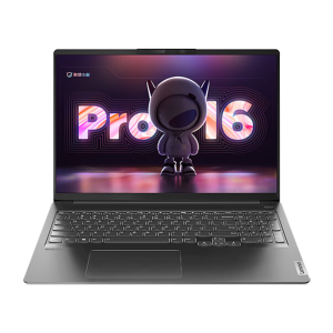 联想（Lenovo） 小新Pro16大屏设计办公轻薄笔记本电脑标压锐龙 R7-5800H 16G 1T固态 核显 定制 16英寸｜2.5K｜高色域