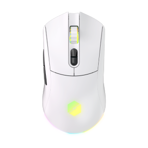机械革命（MECHREVO）有线无线鼠标双模RGB游戏鼠标 吃鸡LOL钛钽蛟龙电竞鼠标2.4G TYPE-C充电鼠标GM500 白色