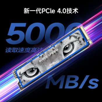 ٣MOVE SPEED2TB SSD̬Ӳ M.2ӿ(NVMeЭ) PCIe 4.0x4 ѩϵ  洢Բ  