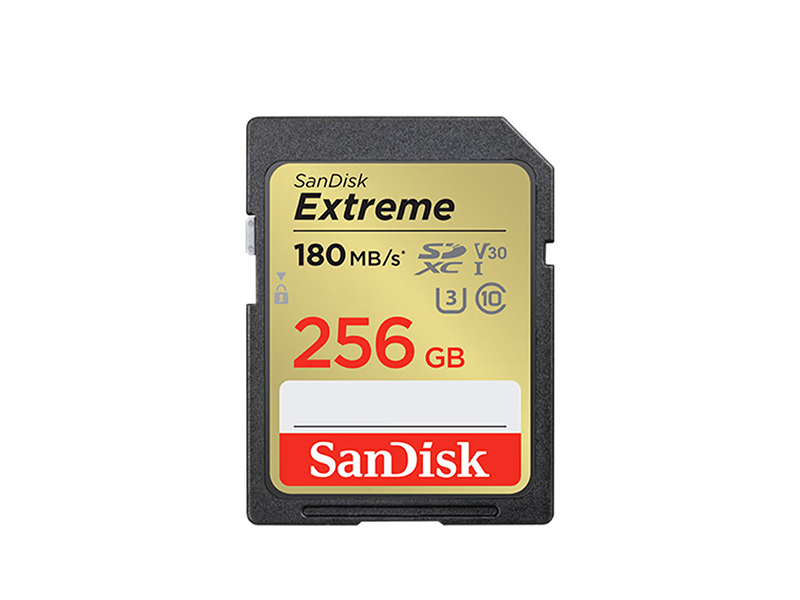 SDXC UHS-I(256GB) ȡ180MB/sͼ