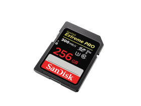 𳬼SDXC UHS-II(256GB) ȡ300MB/s