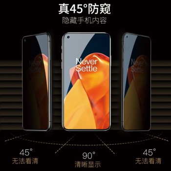【2片装】骆尊 适用一加9R钢化膜 1+9/9RT防窥手机膜OnePlus九抗蓝光全屏磨砂高清保护膜 【一加9/9R】钻石防窥膜保护隐私*2片装 .