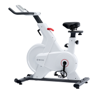 舒华（SHUA）动感单车A3-S家用智能磁控健身器材室内健身车脚踏自行车 B399C白丨磁控调阻丨居家燃卡