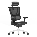 Ergonor 保友办公家具 优B 人体工学电脑椅 黑色 高配版 2代