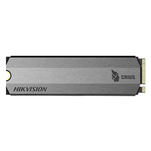 海康威视（HIKVISION） SSD固态硬盘M.2 接口NVMe协议适用台式机笔记本电脑 E2000Lite 1T （10年）