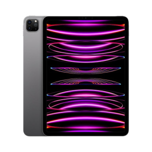 Apple/苹果 iPad Pro 12.9英寸 2022款平板电脑全面屏M2芯片【5天内发货】