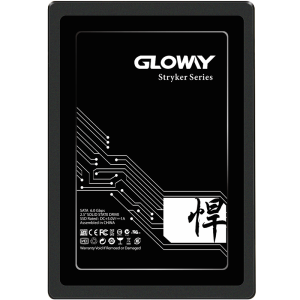 光威（Gloway）2TB SSD固态硬盘 SATA3.0接口 悍将系列-畅快体验超大容量高速存储