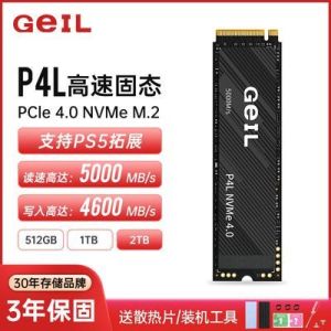 金邦P4L固态硬盘1TB 2T PS5台式机PCIE4.0笔记本SSD长江存储 512G