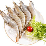 海买 鲜京采 厄瓜多尔白虾1.5kg/盒 加大号20-30规格 大虾 单冻 盐冻