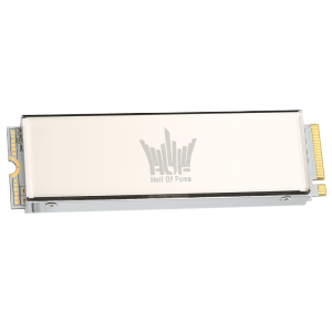 影驰 （Galaxy）HOF名人堂 SSD固态硬盘 M.2接口NVMe协议 PCI-E4.0硬盘 HOF PRO 20 M.2 2T