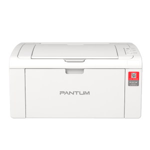 奔图（PANTUM）P2210黑白激光打印机 学生作业小型商用办公打印  仅支持电脑打印
