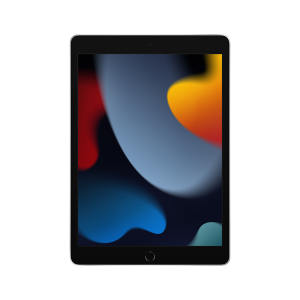 Apple/苹果 iPad(第9代)10.2英寸平板电脑 2021年款(256GB WLAN版/MK2P3CH/A)银色